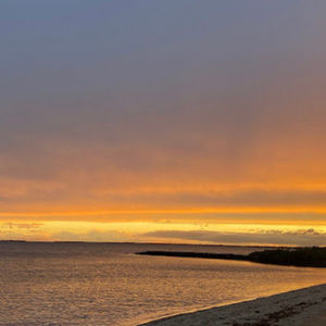 Meet your Posher, Eva